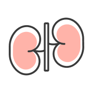 Kidney